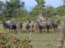 Laos_North_06.jpg