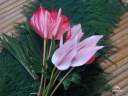 flowers_01.jpg